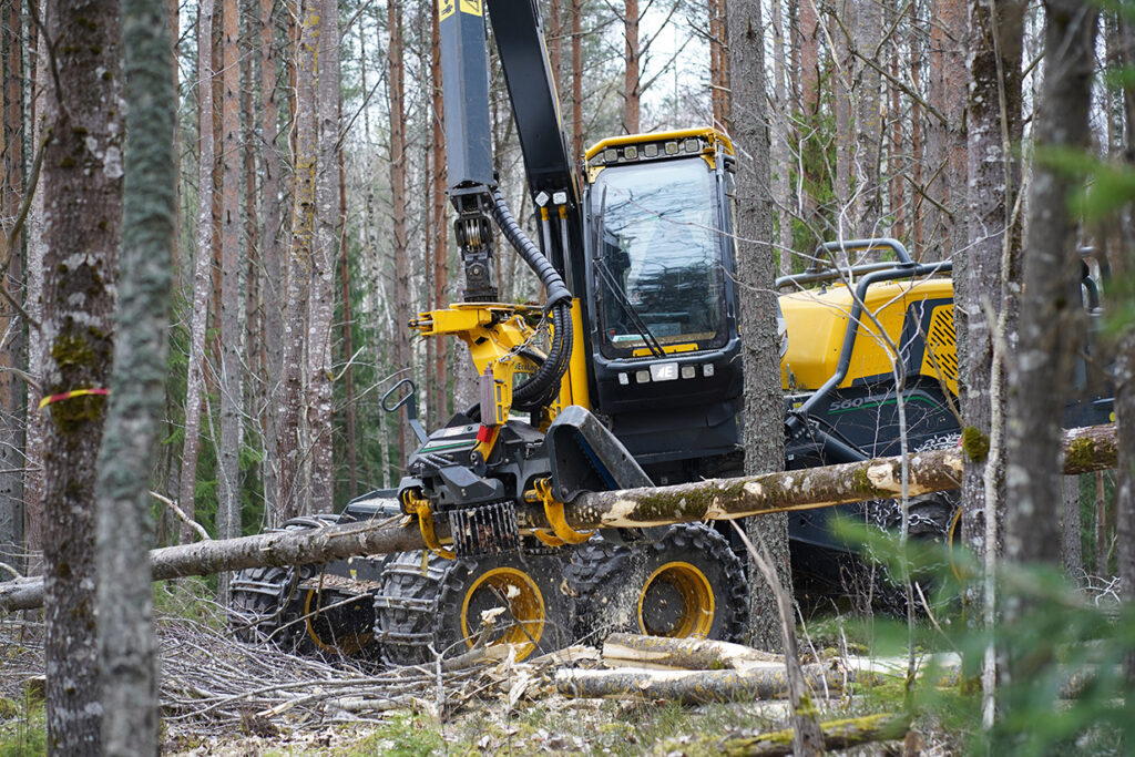 Eco Log 560G: Mångsidig, smidig och ett smart val i skogen.